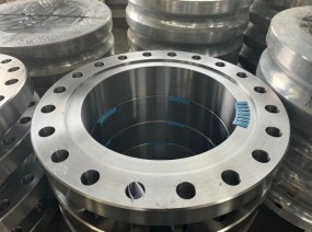 Stainless Steel Flanges